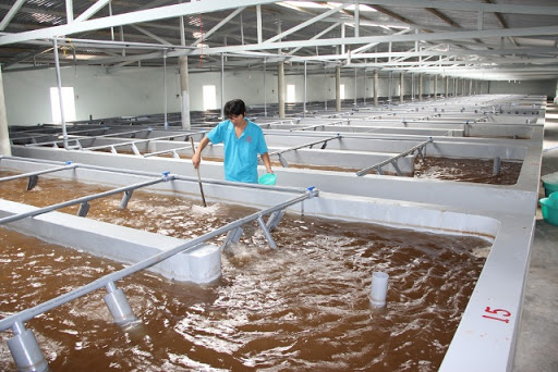 Khắc phục sự cố mất điện cho trang trại bằng máy phát điện công nghiệp