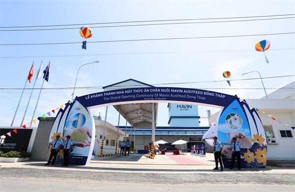 Thanh lý máy phát điện công nghiệp tại Đồng Tháp
